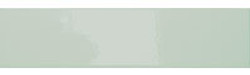 GT Glass In Plain Mint IN-121524